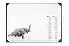 Настольные покрытия DURABLE: что-то новенькое... Настольные покрытия DURABLE: что-то новенькое...
