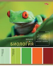 Веер ярких впечатлений из 80 цветов Pantone Веер ярких впечатлений из 80 цветов Pantone