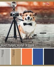 Веер ярких впечатлений из 80 цветов Pantone Веер ярких впечатлений из 80 цветов Pantone