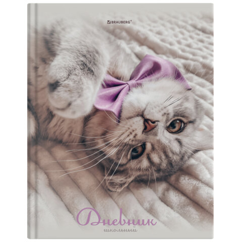 ������� 5-11 ����� BRAUBERG � ��������� ″�����″