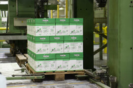 «Открывая тайну белого листа». Пресс-пул на Светогорский ЦБК. «Открывая тайну белого листа». Пресс-пул на Светогорский ЦБК.