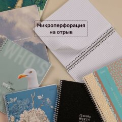 ������� �� ������� �� 2 ������� � ����� �� Hatber: �������� � ������� �������!