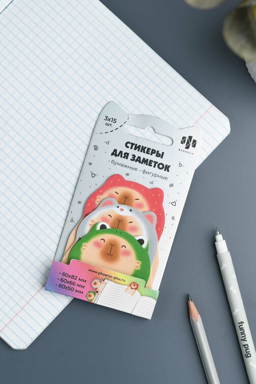 ������� ��� ������� ��������, ������ 60�82; 60�63; 60�48, 3 ����/-�/-��, 45 ��. � ������