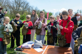 ″����-�����″ -������ ������� ″������� 2.1″