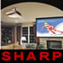 Компания SHARP поддерживает новые направления в киноискусстве.