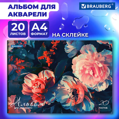 ������ ��� �������� BRAUBERG, ″�����″