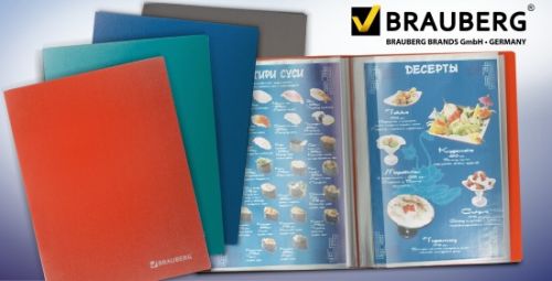 Группа компаний ″Самсон″ - Папки с вкладышами BRAUBERG &laquo;Бюджет&raquo; - высокое качество по доступной цене