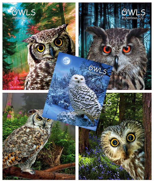 �������� ��� &laquo;���������&raquo; ���������� ������������� � �������� ������� &laquo;Owl life&raquo;