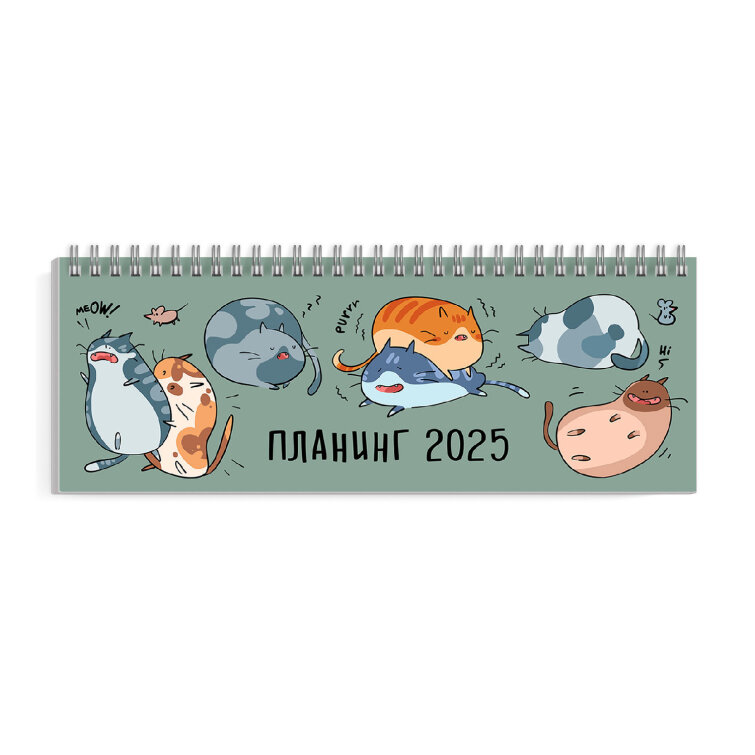 Планинг датированный 2025, 290х100 мм, 64 л, ФЕНИКС+ Планинг датированный 2025, 290х100 мм, 64 л, ФЕНИКС+