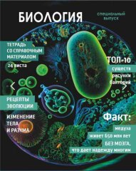 Оформление тетрадей — способ самовыражения для школьников. Почему? Оформление тетрадей — способ самовыражения для школьников. Почему?