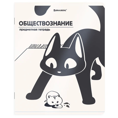 ������� ���������� �������������� ���-�������� BRAUBERG