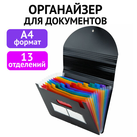 Папки-органайзеры для бумаг BRAUBERG Папки-органайзеры для бумаг BRAUBERG