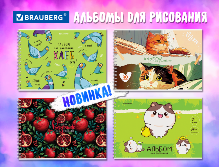 ������� ��� ��������� BRAUBERG
