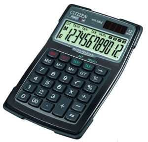 Citizen WR-3000