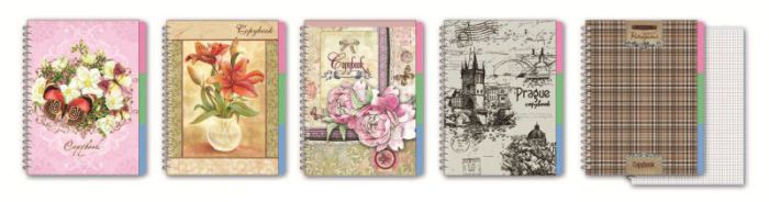 Copybook от &laquo;Феникс+&raquo;!