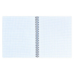 Тетрадь Copybook, 165х203 мм, 80 л, ФЕНИКС+ Тетрадь Copybook, 165х203 мм, 80 л, ФЕНИКС+