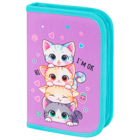 Пенал BRAUBERG ″Funny kittens″ , 1 отделение Пенал BRAUBERG ″Funny kittens″ , 1 отделение