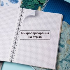 Тетради А4 в твёрдой обложке на гребне от Hatber: коллекция, близкая с природой! Тетради А4 в твёрдой обложке на гребне от Hatber: коллекция, близкая с природой!