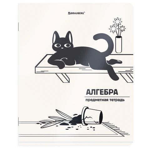 ������� ���������� ������� ���-�������� BRAUBERG