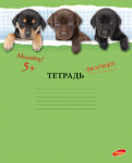 Пятьдесят оттенков зеленого! Пятьдесят оттенков зеленого!