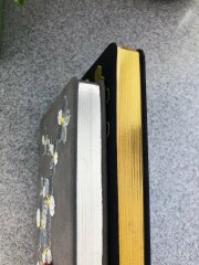 NEW! ESCALADA 2021. Недатированный ежедневник с вышивкой и фольгированным срезом. NEW! ESCALADA 2021. Недатированный ежедневник с вышивкой и фольгированным срезом.