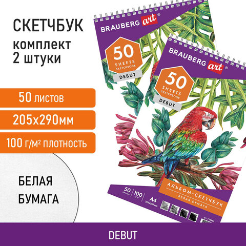 Скетчбук-блокнот для рисования BRAUBERG. Комплект из 2 штук Скетчбук-блокнот для рисования BRAUBERG. Комплект из 2 штук