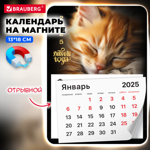 Календарь отрывной на магните BRAUBERG, ″Котик″ Календарь отрывной на магните BRAUBERG, ″Котик″