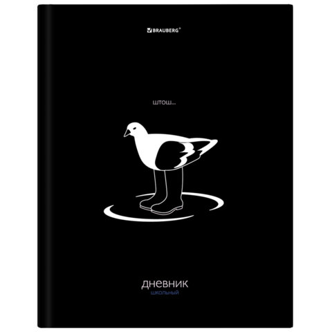 ������� 5-11 ����� BRAUBERG � ���������, ″����″