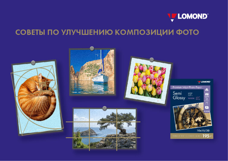 Советы по улучшению композиции фото Советы по улучшению композиции фото