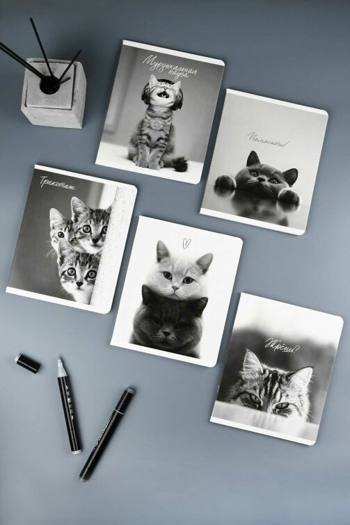 �������, �5+, 48 �, ��.���� - ������, ���������� ���� ���, ������ ������� (2 �����)