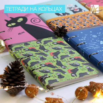 Тетради на кольцах Тетради на кольцах