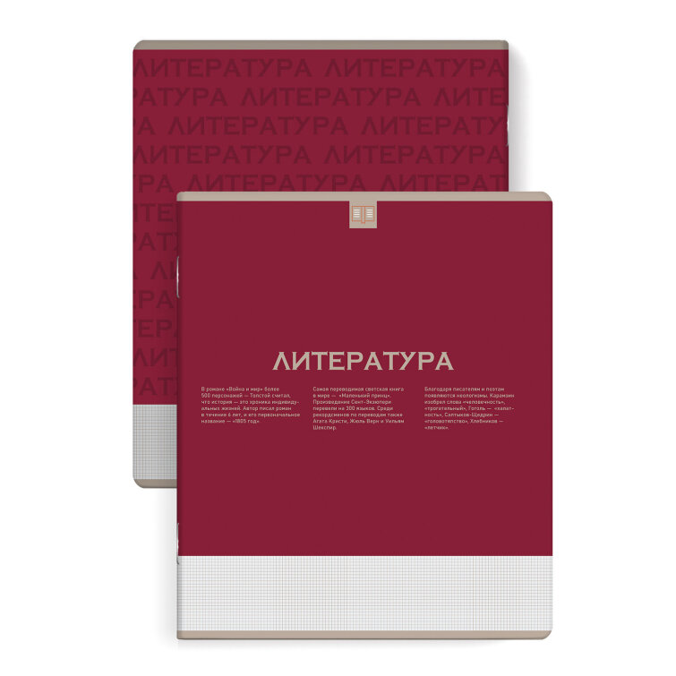 Тетрадь предметная ЛИТЕРАТУРА /48 л., А5+, ФЕНИКС+ Тетрадь предметная ЛИТЕРАТУРА /48 л., А5+, ФЕНИКС+