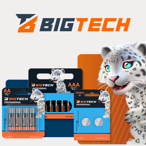 .  BigTech Professional