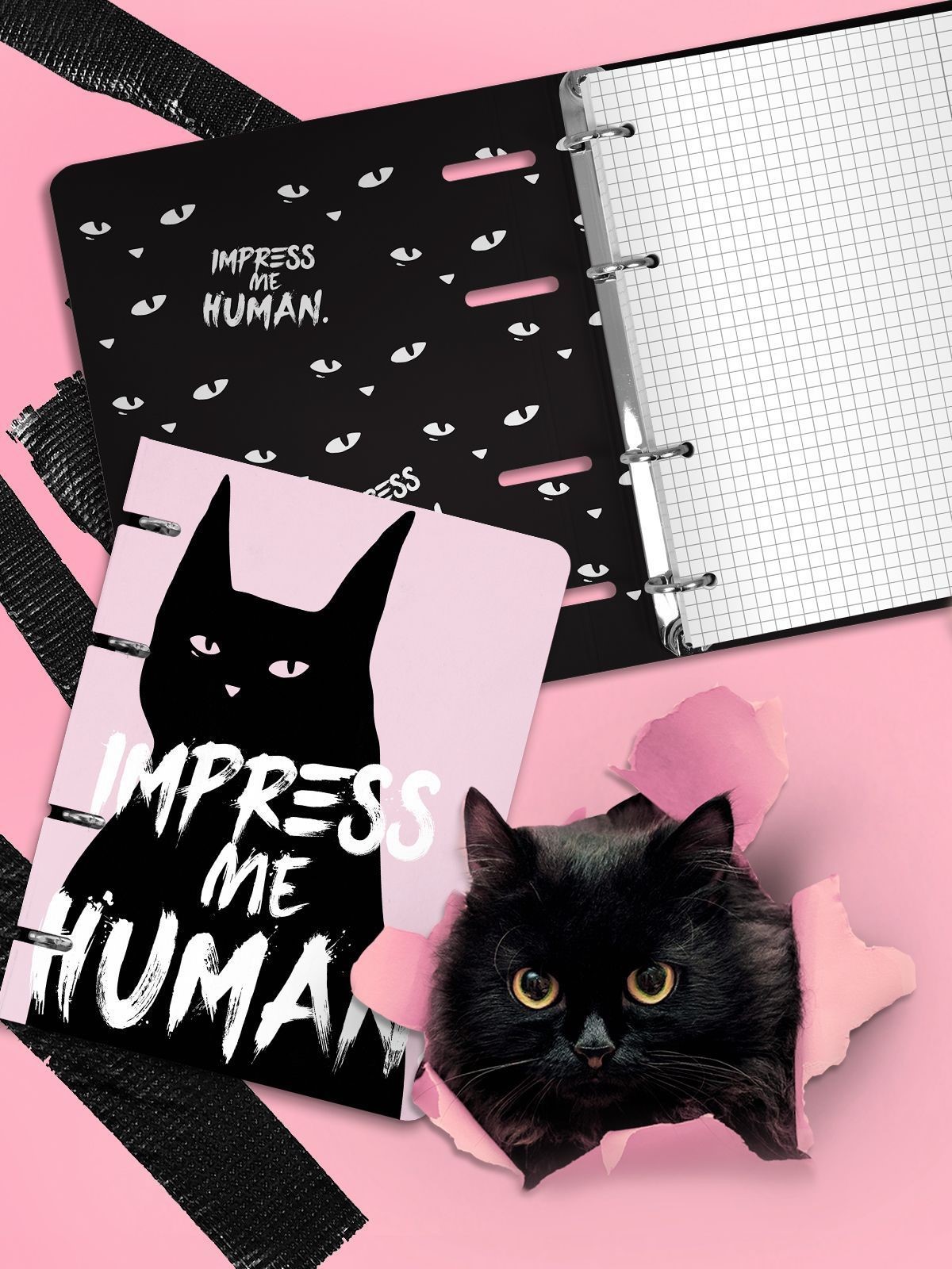 Трендовый дайджест от LOREX! Коллекция WAYWARD CAT! Трендовый дайджест от LOREX! Коллекция WAYWARD CAT!
