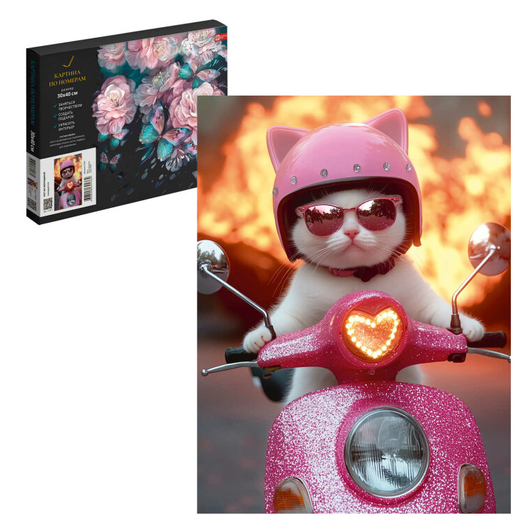      , +,   , 3040 , 19  (-),     ,    