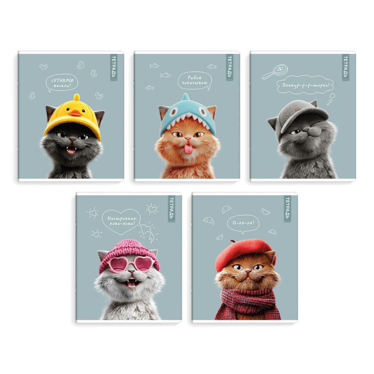 �������, �5+, 48 �, ��.���� - ������, ���������� ���� ���, ������ ������� (2 �����)