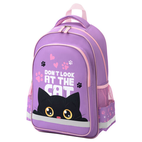Рюкзак ПИФАГОР SCHOOL, ″Observer cat″ Рюкзак ПИФАГОР SCHOOL, ″Observer cat″
