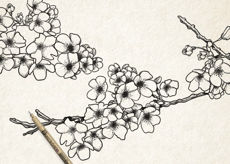 SAKURA PIGMA MICRON - ответы на частые вопросы о линерах SAKURA PIGMA MICRON - ответы на частые вопросы о линерах