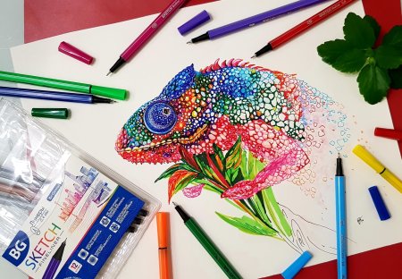 ������ ����� ″SKETCH″: ������ �������� ��������