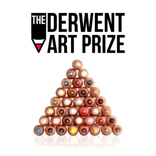  Derwent Art Prize   !