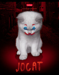 JOCAT на тетради Hatber. JOCAT на тетради Hatber.