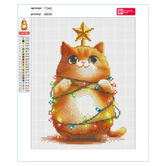   (  ), -, 20*25 ,  : , 21  ,    