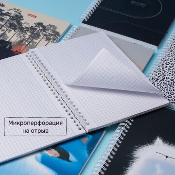 Откуда ни начни - везде правильно! Тетради на гребне с двойной твёрдой обложкой от Hatber!