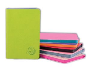 Notebooks from Escalada collection