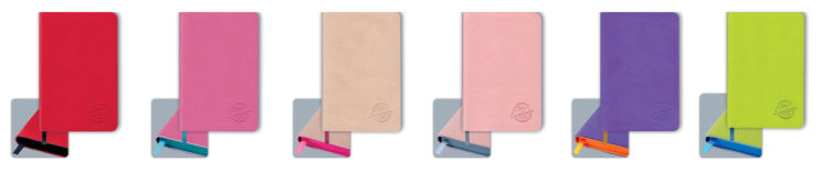 Notebooks from Escalada collection