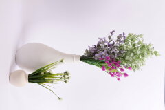 ������������ ����� � ������� BLUMENTAG