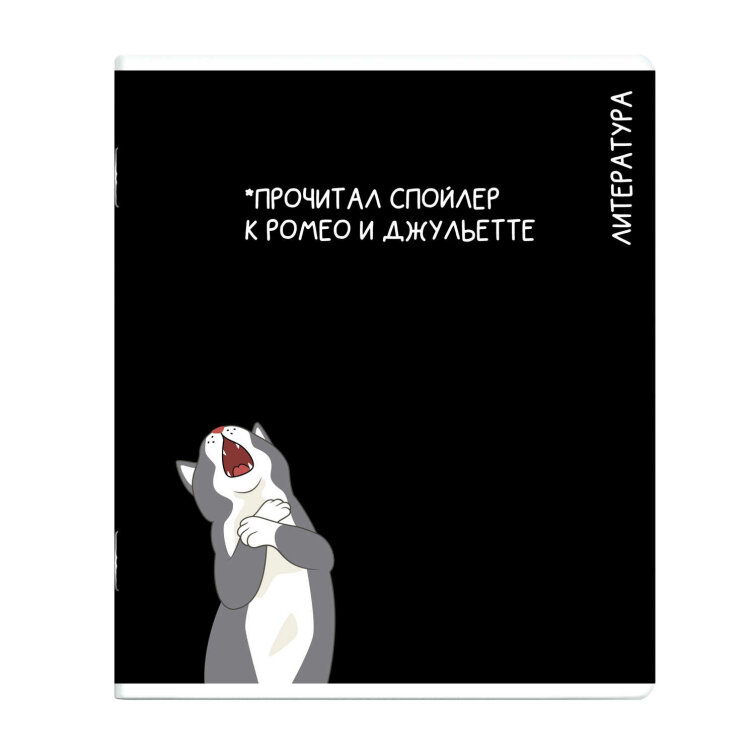 Тетрадь предметная арт. 69832/ ЛИТЕРАТУРА /48 л., А5+, вн.блок - линия, выборочный ТВИН УФ-лак, Тетрадь предметная арт. 69832/ ЛИТЕРАТУРА /48 л., А5+, вн.блок - линия, выборочный ТВИН УФ-лак,