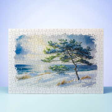 ����� Hatber &laquo;�����������-�������&raquo;: ��� ������� � ����.