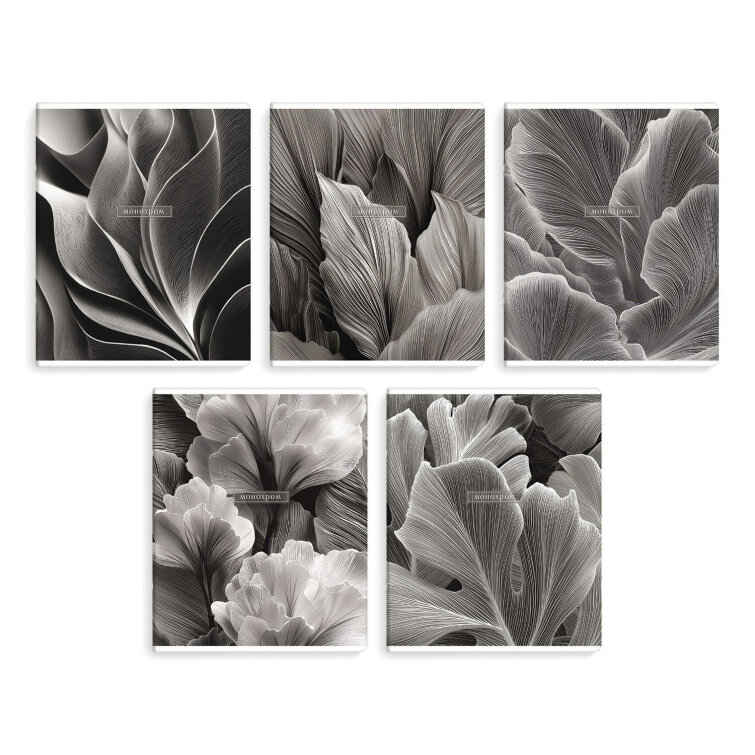 �������, �5+, 96 �, ��.���� - ������, ������ ������� (2 �����)