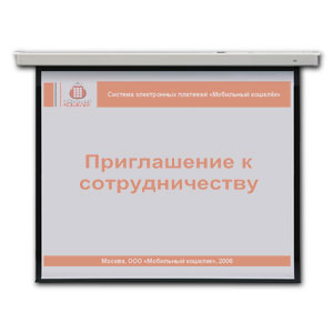 САМСОН – Проекционные экраны 2х3